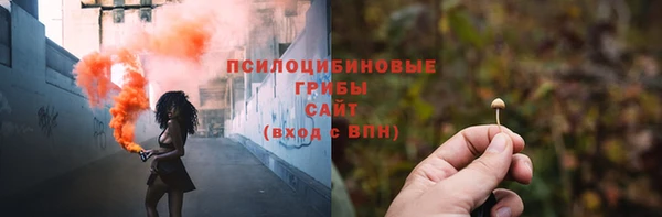 меф Богородицк